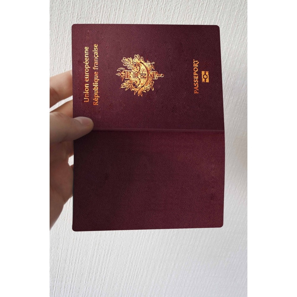 Buy France Passport 247 World Trans Documents