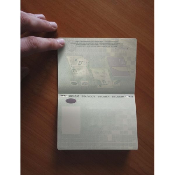 Buy Belgium Passport Online - Image 2