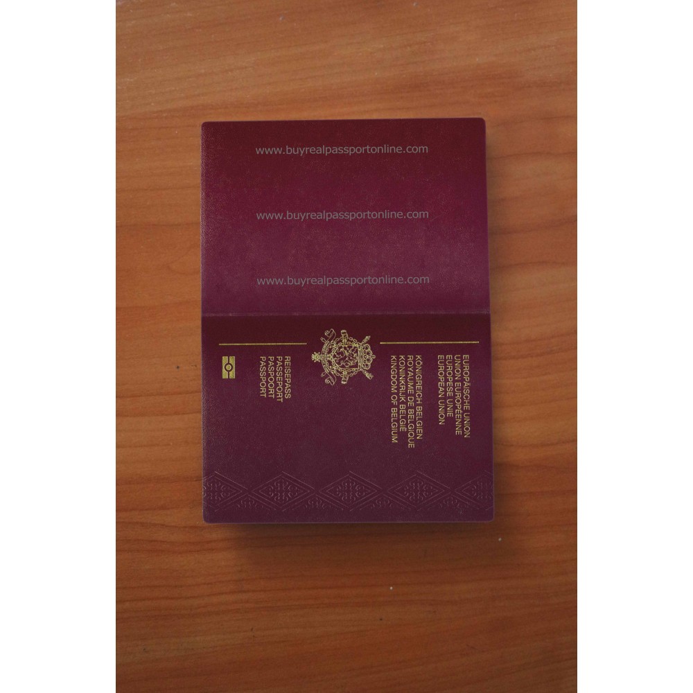 Buy Belgium Passport Online - Image 3