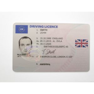 British drivers licence